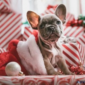 Don&rsquot Take this for Granted this Holiday Season