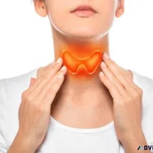 Understanding Thyroid Health A Comprehensive Guide