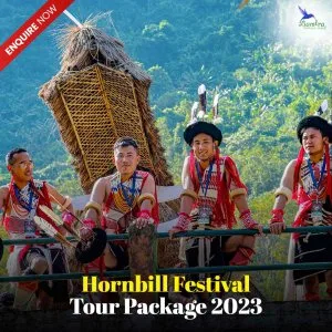 Hornbill festival 2023 - date, venue and ticket