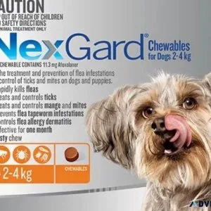NEXGARD ORANGE 3 Chews Monthly Flea and Tick Control for Dogs