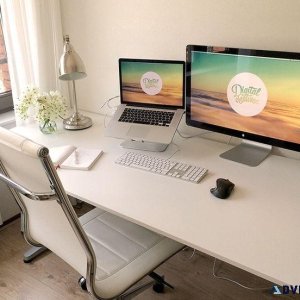 Personal Assistant Needed