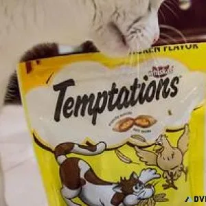 Buy Cat Treats with cheap prices at India Online - Pawrulz