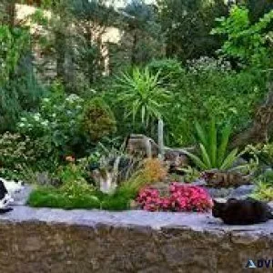 Crisis Solved with YOUR Backyard Pharmacy Garden Kit