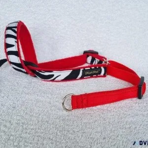 Buy Coloured Head collar collection for Dogs from 2posh2pull