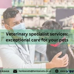 Veterinary specialist services exceptional care for your pets