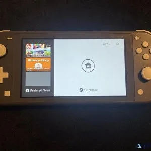 Nintendo switch lite