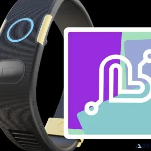 Cryptocurrency from the Heart Wearable Tech Meets Financial Gain