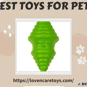 Discover the Best Toys for Pets