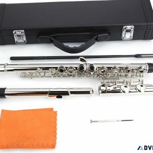 Mendini By Cecilio Flutes Closed Hole C Flute