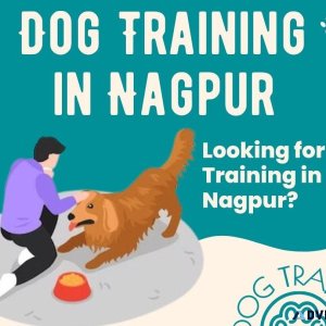 Dog Trainer in Nagpur