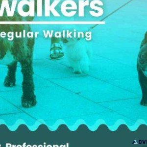 Dog Walking Services in Bangalore