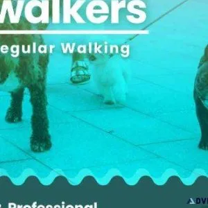 Dog Walking Services in Bangalore