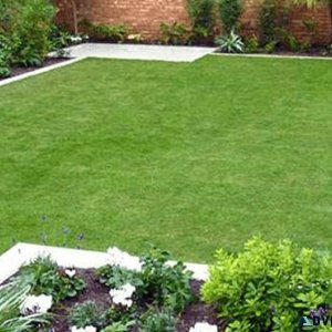 Lawn Care and Handyman Services