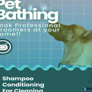 Dog Groomers in Delhi