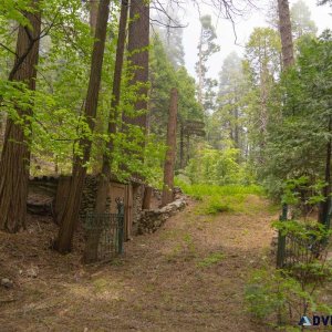 Rare level lot on a creek