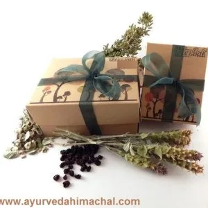 Are you ready to get your christmas gift ?