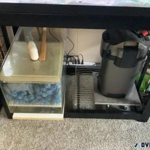 40 Gal. Breeder Aquarium complete