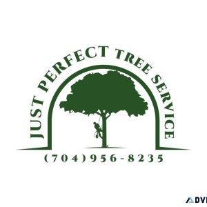 Tree Services 