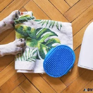Buy Dog Shampoo and Conditioners Online in India - 2023