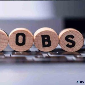 PES HR SERVICES Team Leader &ndash Domestic Sales Process (2-5 Y