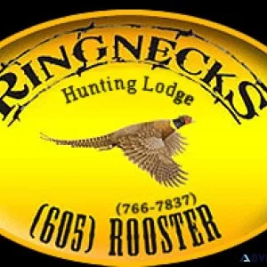 Ringnecks Hunting Lodge