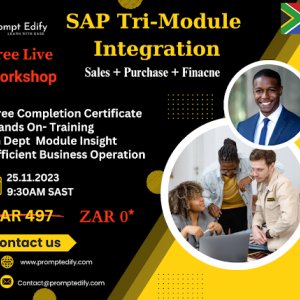 Free sap live workshop south africa