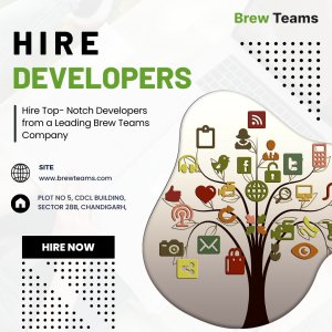 Find the best dedicated developers- brew teams