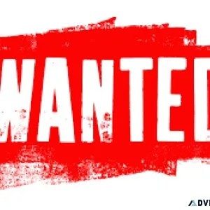 WORK WANTED