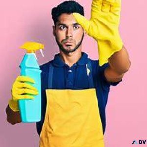 Florida Cleaners Ready to Shine PEO Solutions Await"