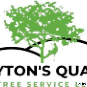 Tree Pruning Orlando - Clayton&rsquos Quality Tree Service LLC