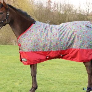 Horse Turnout Rugs Dealer in Kanpur