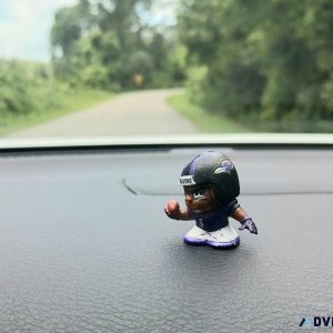 Baltimore Ravens Pipsqueak Dashboard Buddy Gift Idea