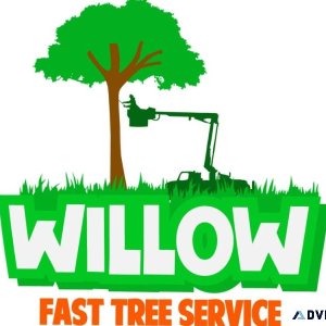 Willow Fast Tree Services LLC