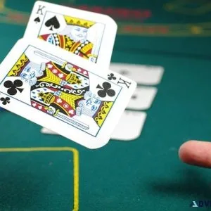 Betbhai9 App