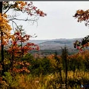 Tennessee high ground 9.42 ac