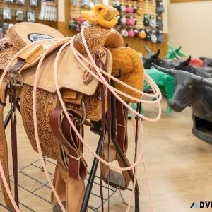 Premium Horse Equipment for Sale