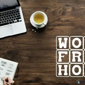 Make 300 per day from home