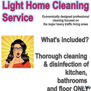 Light Home Cleaning Professional Service