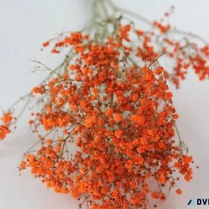 Decorate Your Home with Dried Flowers
