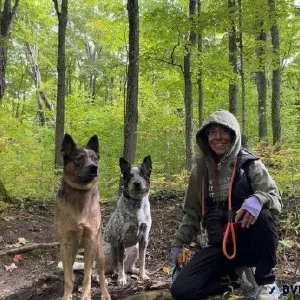 Pet sitting or Board and Train Services