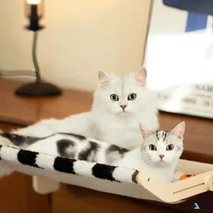 Plaid Cat Hammock  lovepetin.com