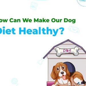 Give your pup the pampering they deserve