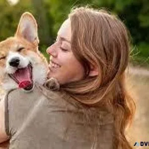 Trusted Pet Clinic in Sector 137 Noida  Vet Land Pet Clinic