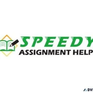 Professional Dissertation Writing help by Experts