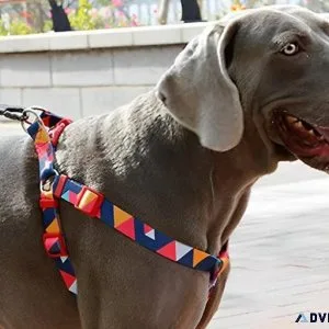 Stylish Thickened Dog CollarandLeash Set  lovepetin