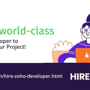 Hire zoho developer to work on your project