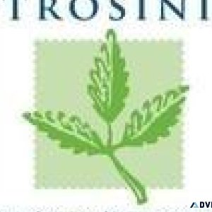 Trosini Landscape Management Inc.