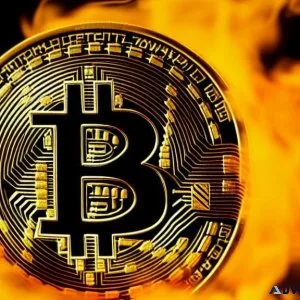 Use free software to accumulate wealth without any risks.