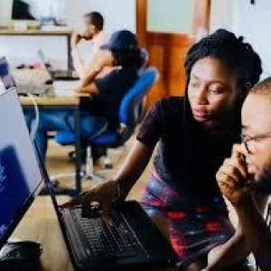 Junior Software Developer