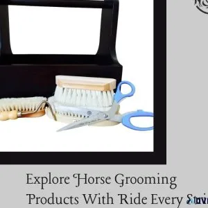Explore Horse Grooming Products With Ride Every Stride
